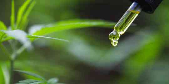 Consommation de CBD