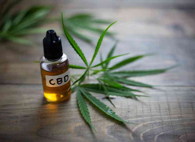 CBD controle