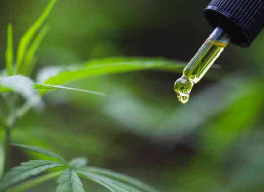 Consommation de CBD